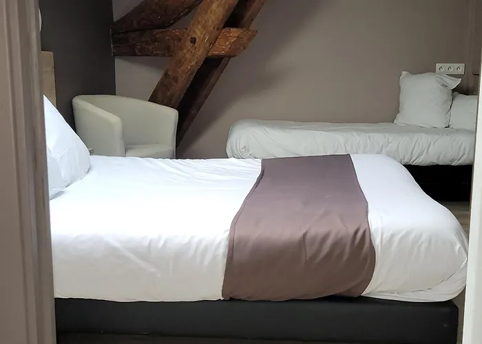 호텔 Logis Des Voyageurs 3*